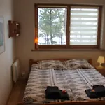 Apartament Cyrhla Zakopane